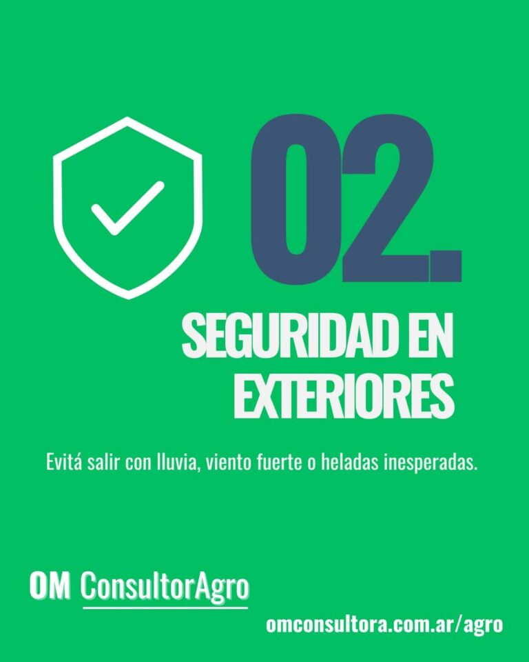 estacionmeteorologica (2)
