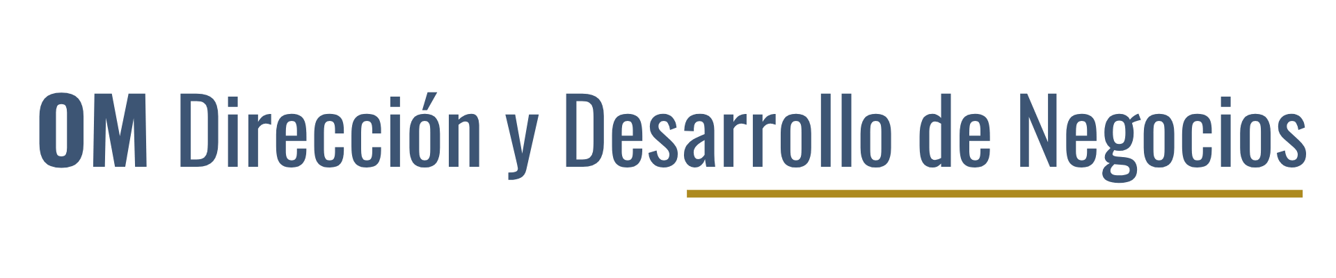 OM Dirección y Desarrollo de Negocios